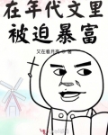 在年代文里被迫暴富_在年代文里被迫暴富