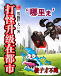 小说《打怪升级在都市》txt下载_打怪升级在都市