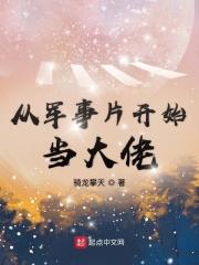 从军事片开始当大佬txt_从军事片开始当大佬
